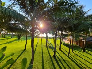 Nhập môn đầu tư bất động sản