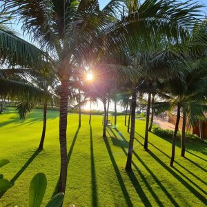 Nhập môn đầu tư bất động sản